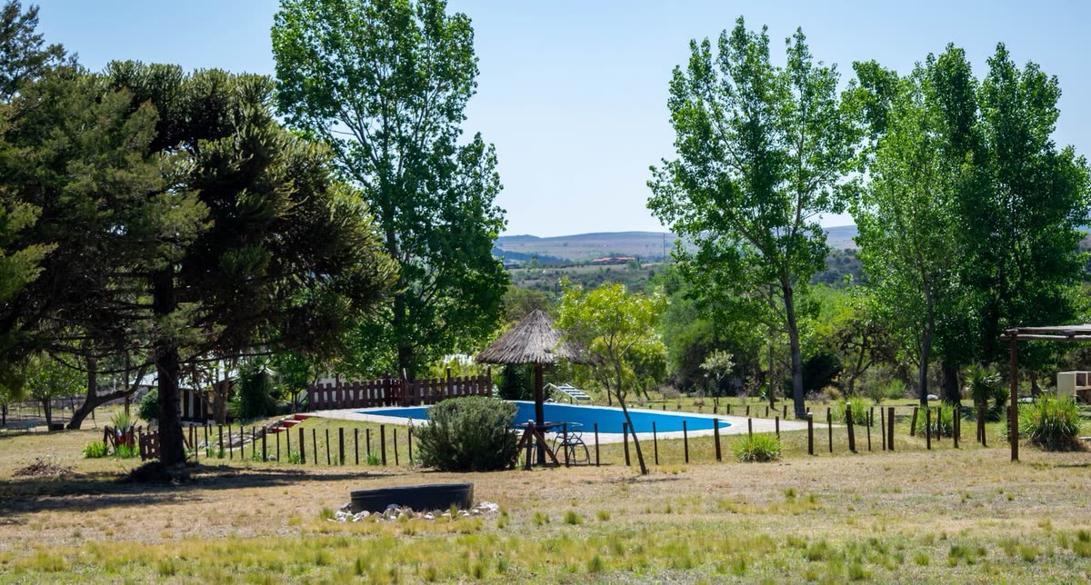 Pileta y zona de solárium